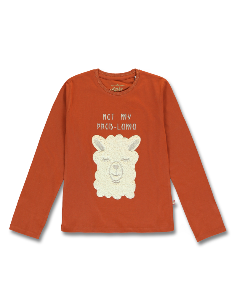 All Brands | Winterproducts Teen Girls | T-shirt | 12 pcs/box