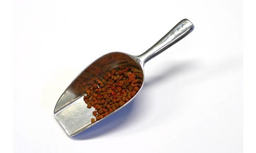 Annatto seed