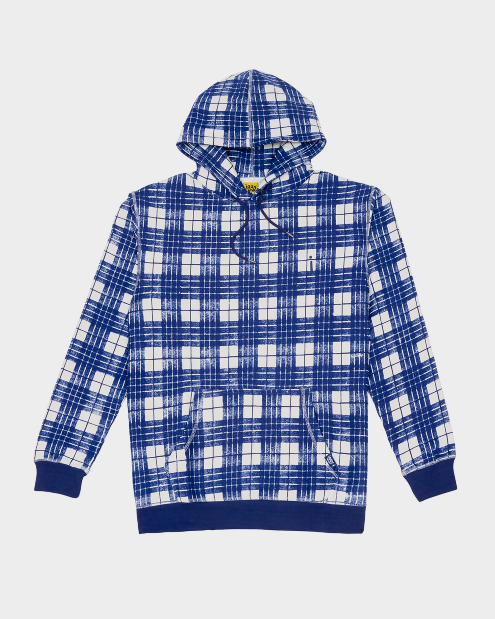 Iggy Ballpoint Plaid Sweatshirt