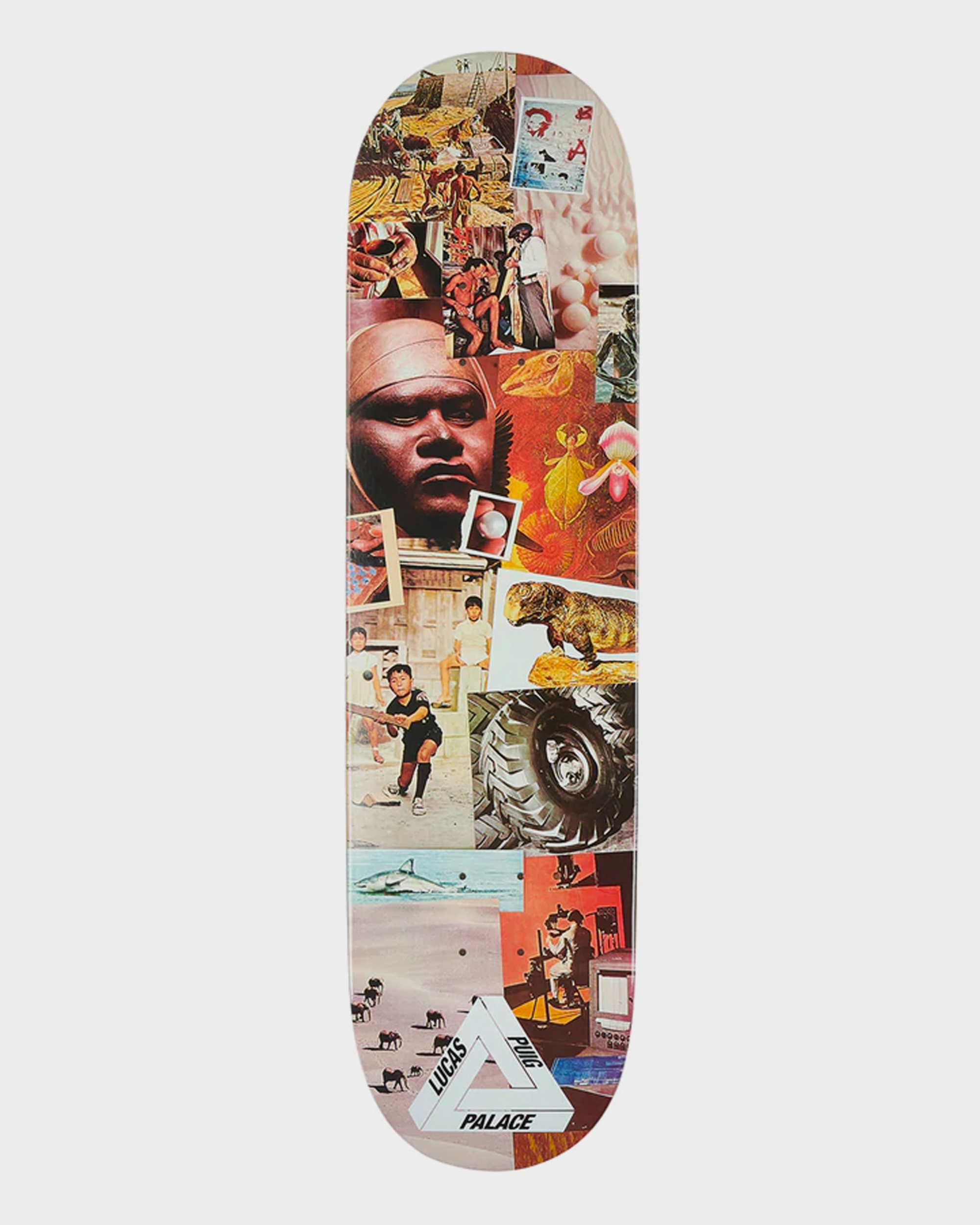 Palace Deck Lucas Pro S28 8.2