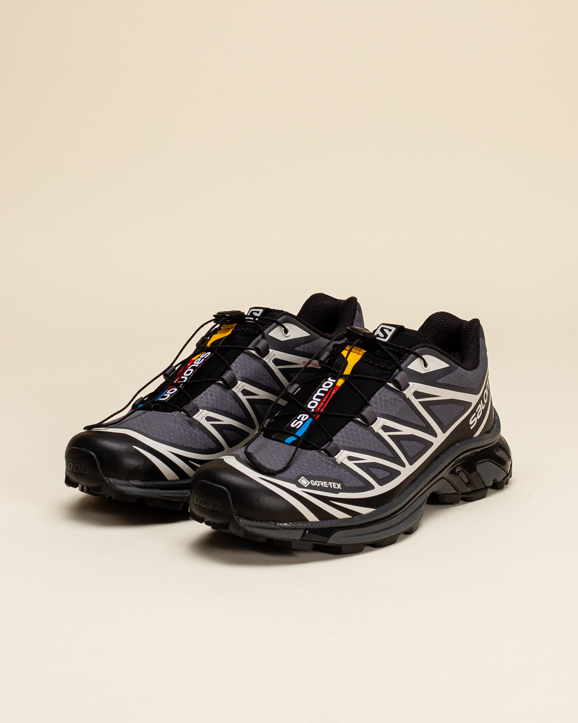 Salomon Advanced XT-6 Gore-Tex Negro L41663500