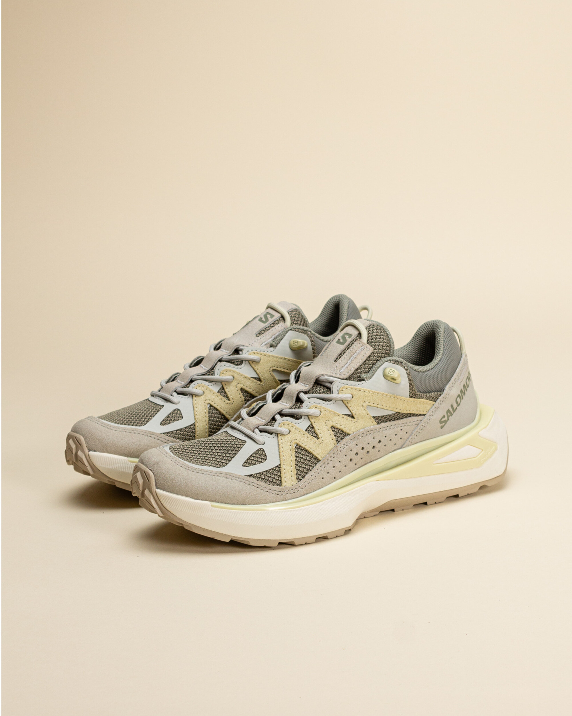 Salomon Odyssey Elmt Low - Shad / Metal / Aloe Wash - Lockwood ...