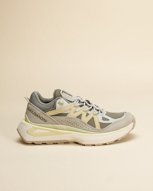 Salomon Salomon Odyssey Elmt Low - Shadow/Metal/Aloe Wash