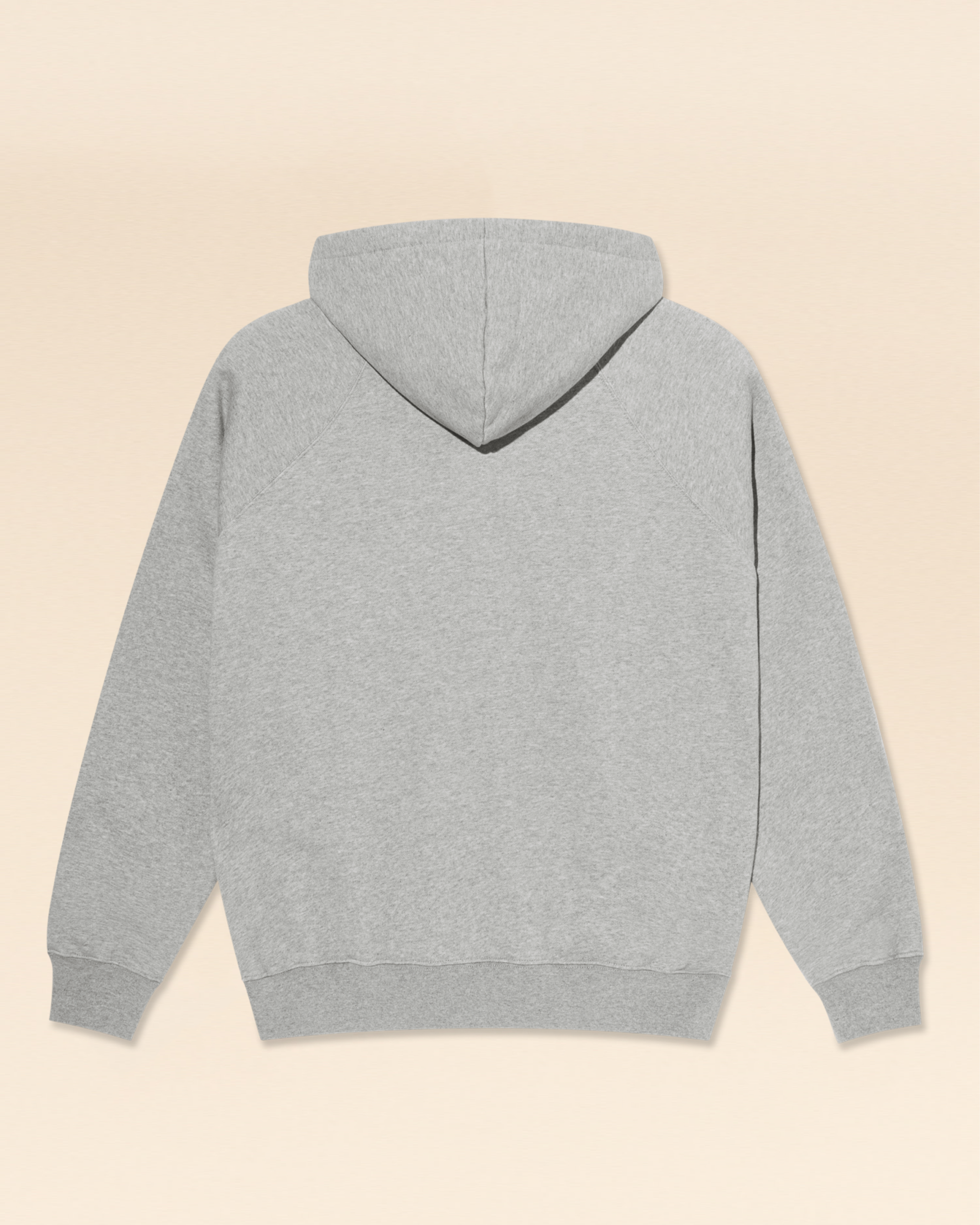 Polar Default Hoodie - Heather Grey