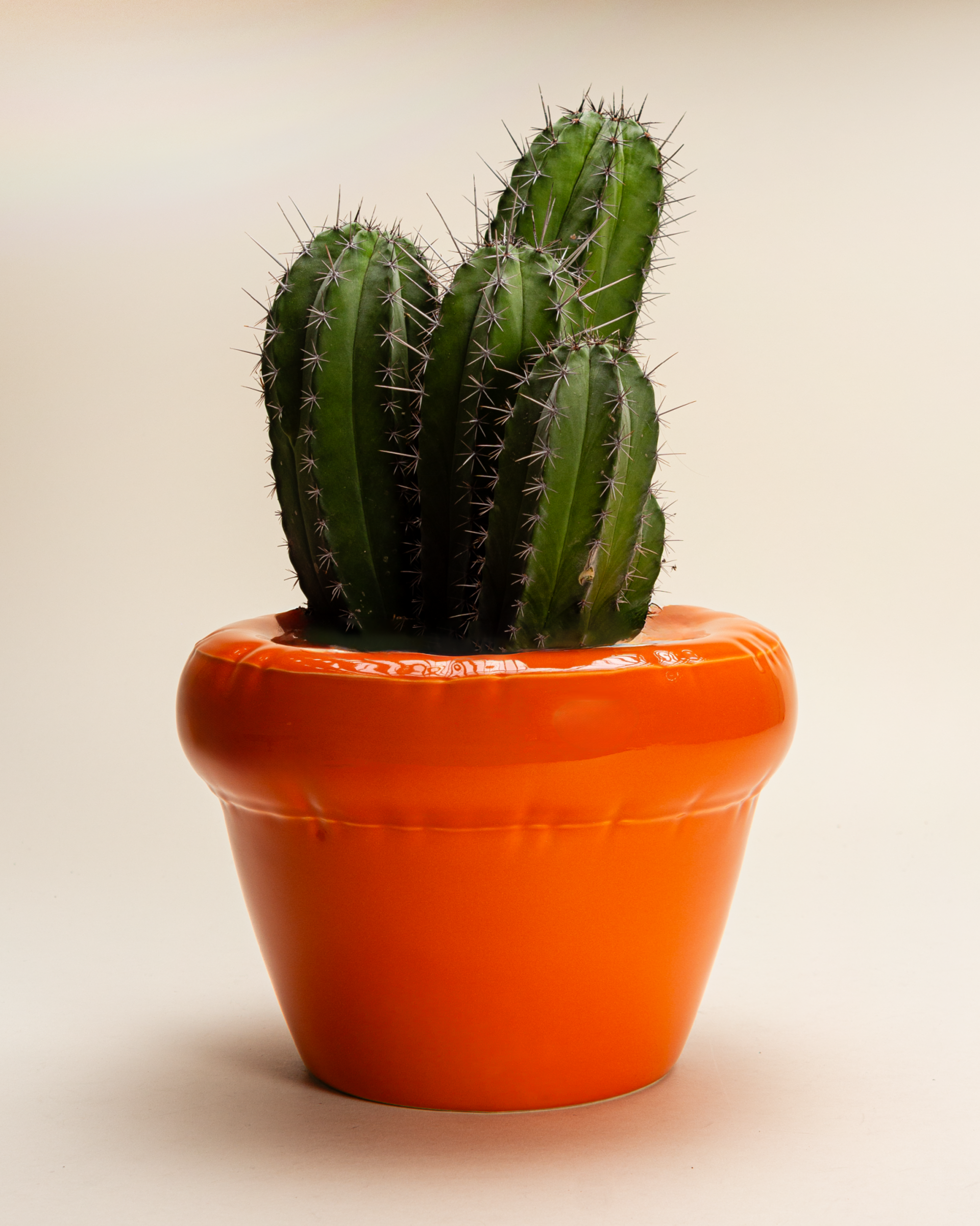 Home Studyo Planter 'PIERRE' - Carrot Gloss Orange