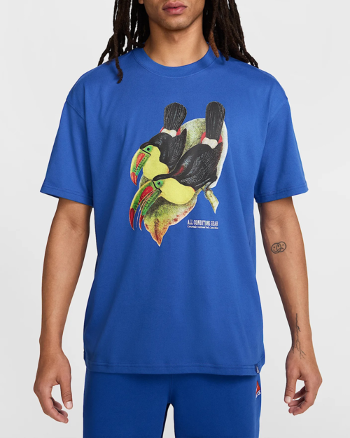Nike Nike ACG Toucan Tee - Blue