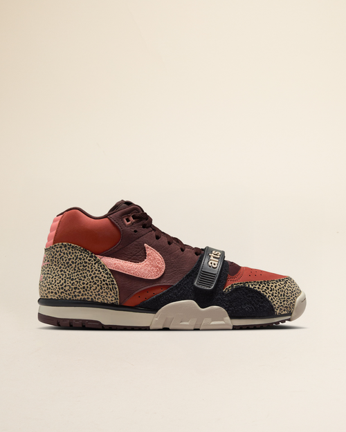 Nike Nike Sb Air Trainer Limestone/Pink Quartz Earth Dusty Peach