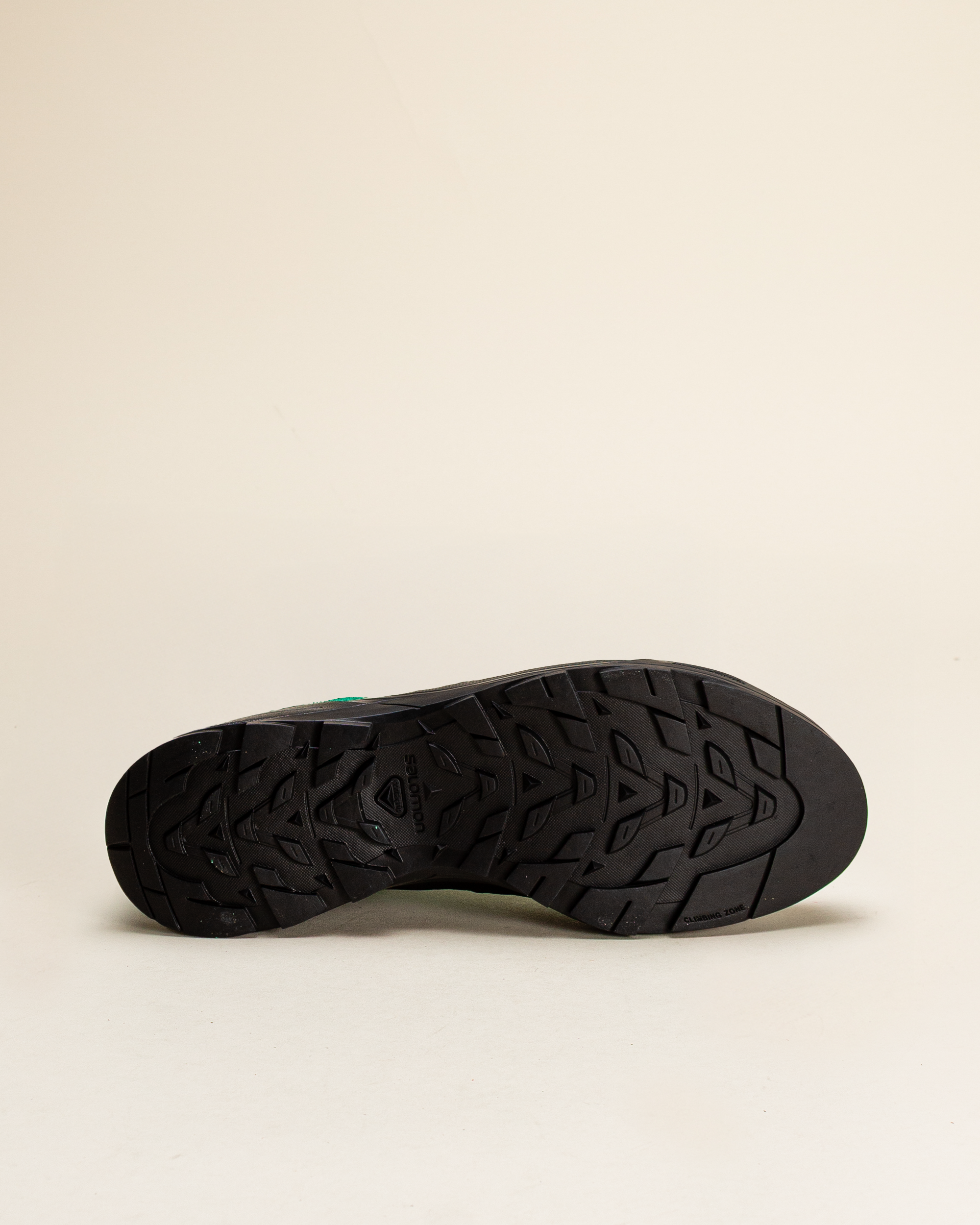 Salomon X-ALP SUEDE Black/Parakeet/Pating