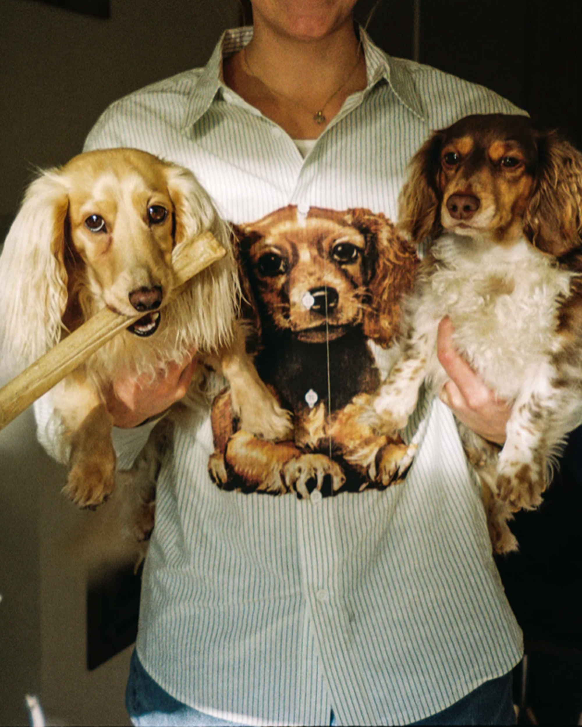 The Loose Company Puppy Shirt