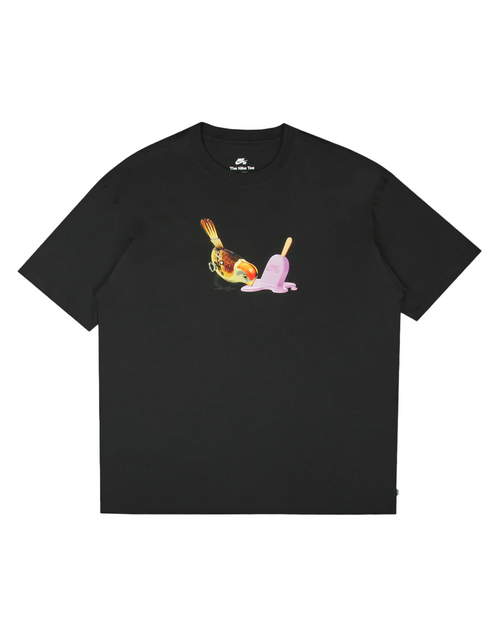Nike Nike SB Tucan T-shirt - Black