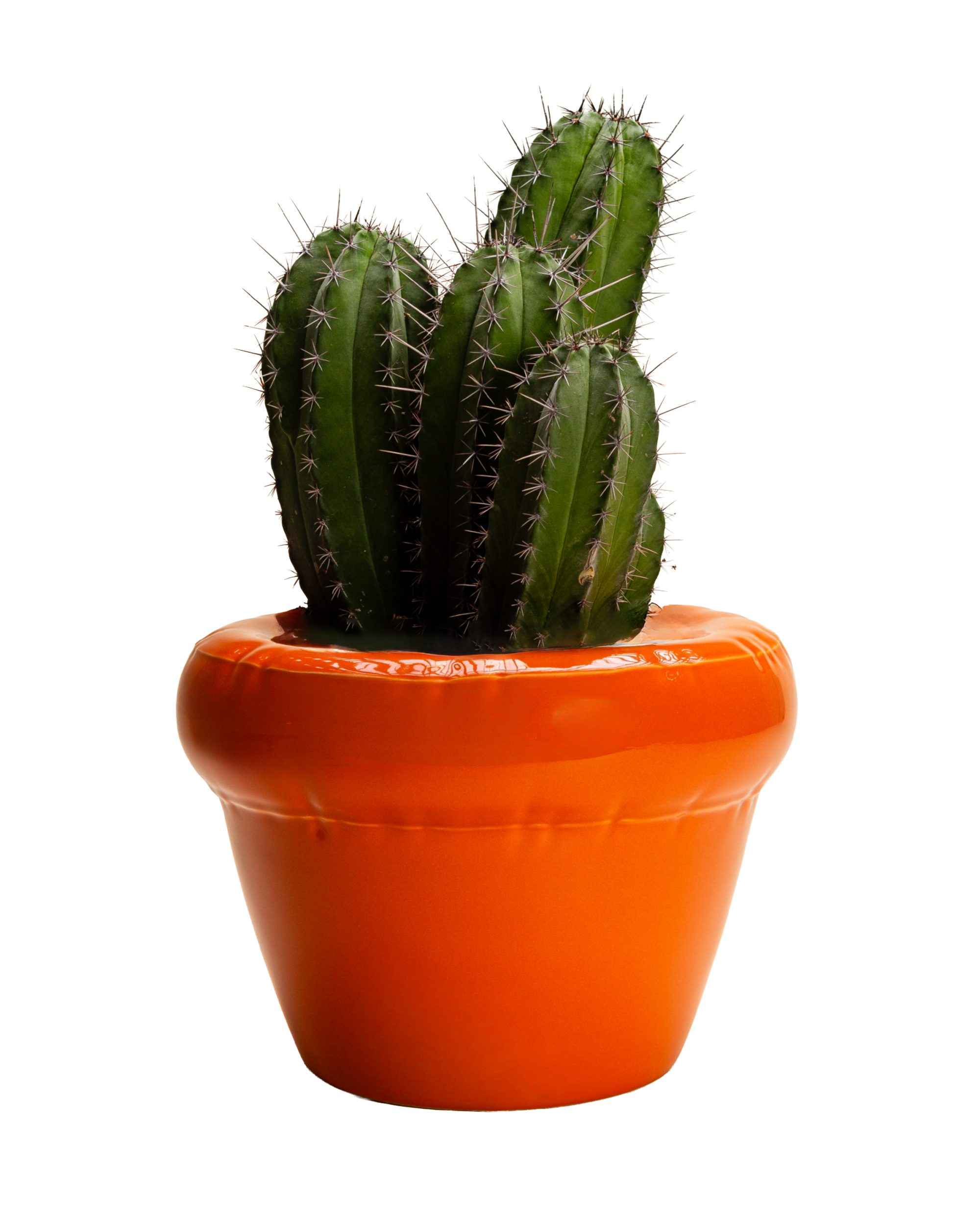 Home Studyo Planter 'PIERRE' - Carrot Gloss Orange