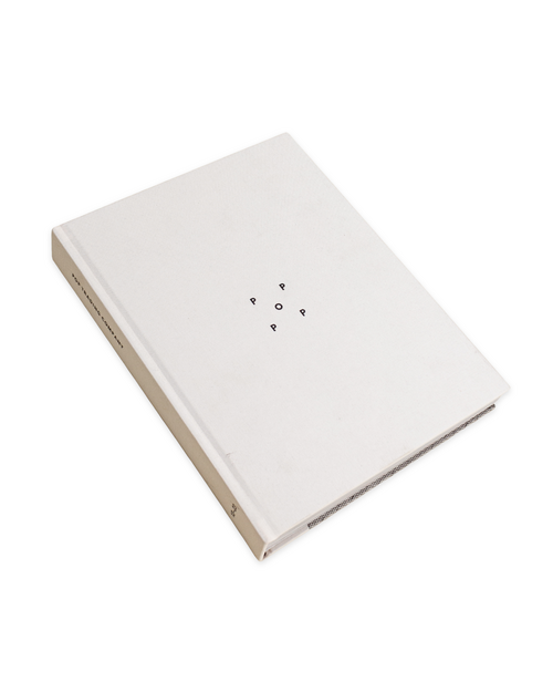 Pop Trading Co Pop Trading Company 2013 - 2023 Book
