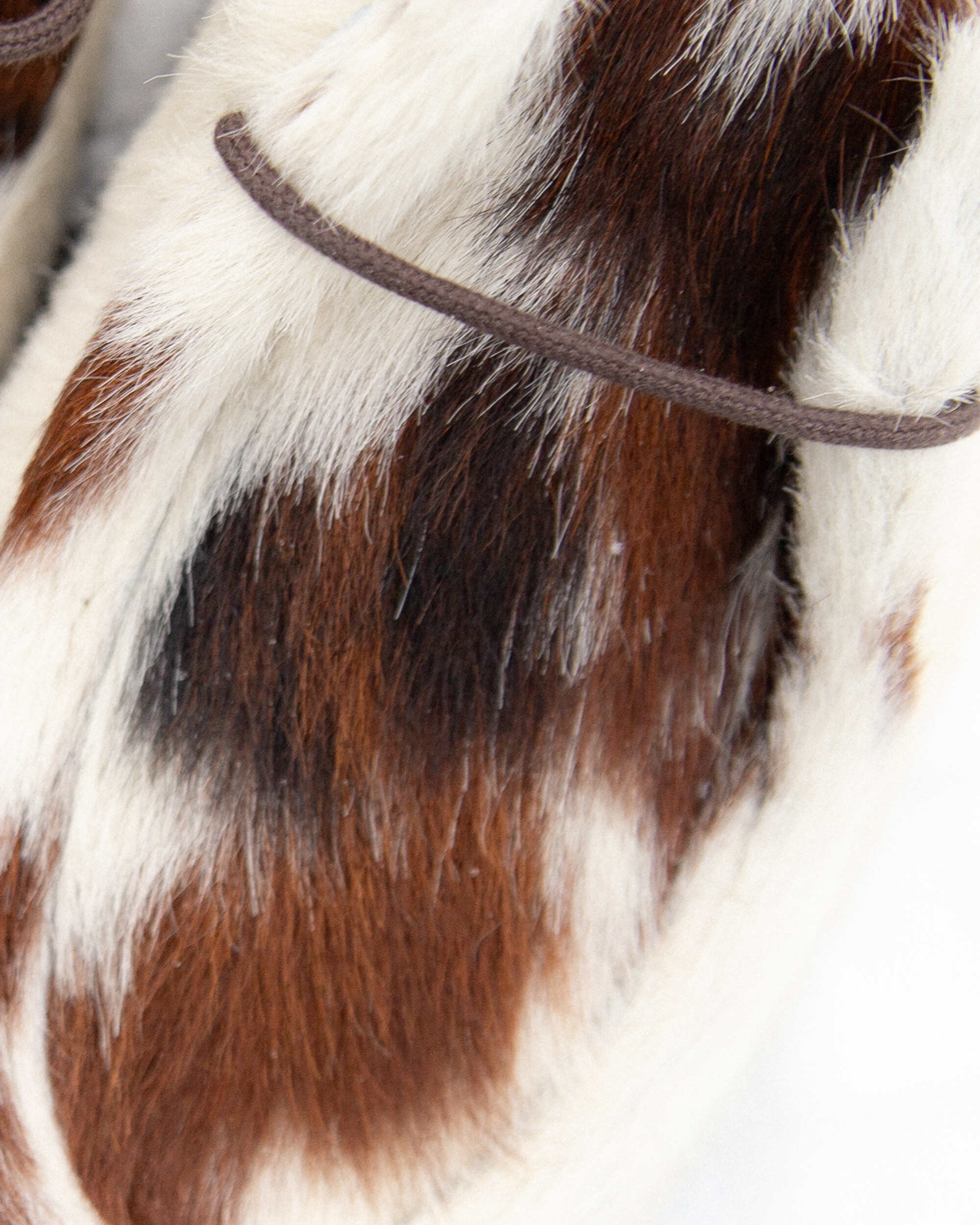 Paraboot Polis Vache Marche Marron