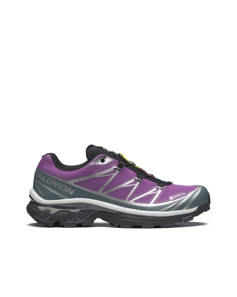 Salomon Salomon XT-6 GTX Concord Grape/Stormy Weather/Ftw Silver