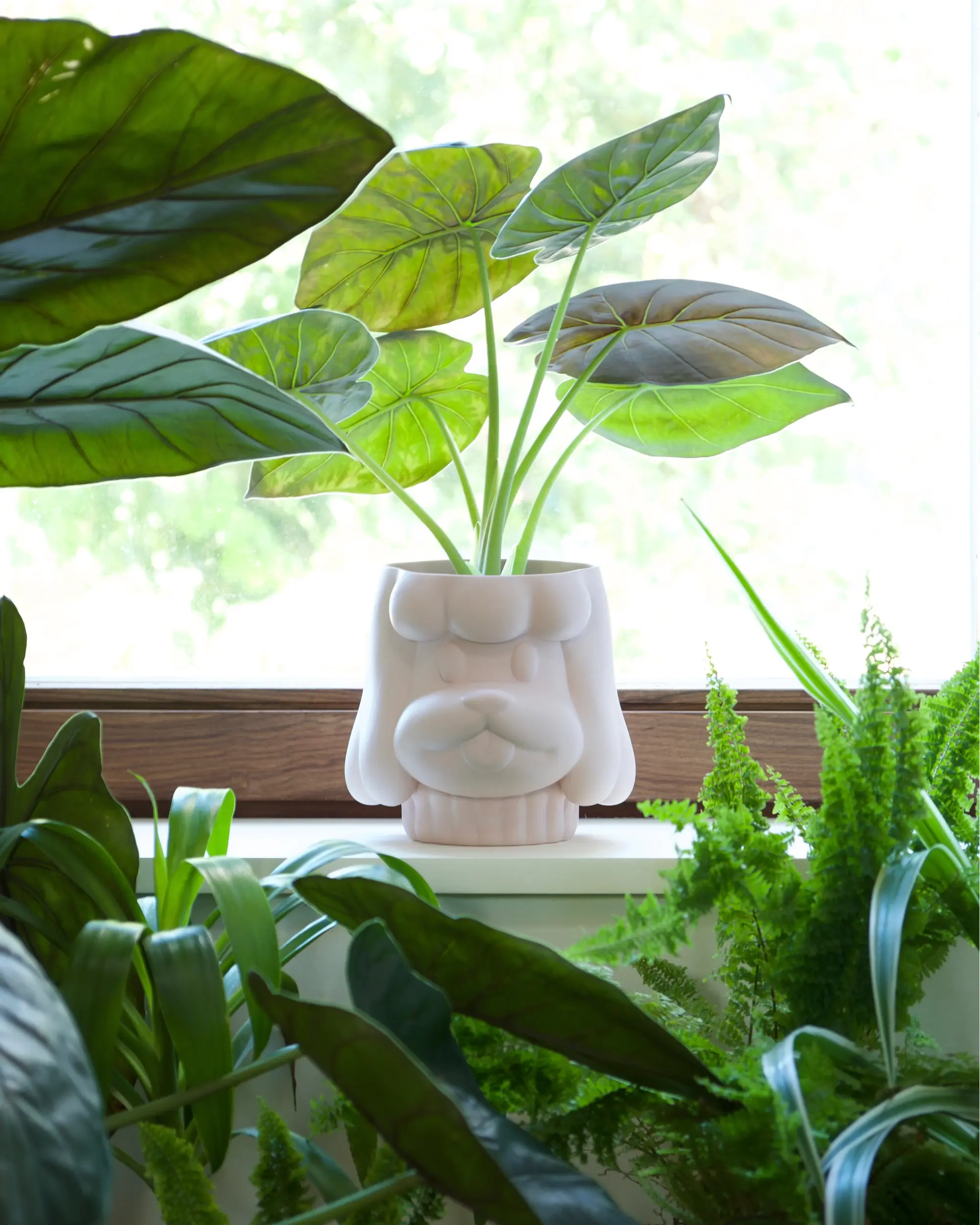 Home Studyo Ida White