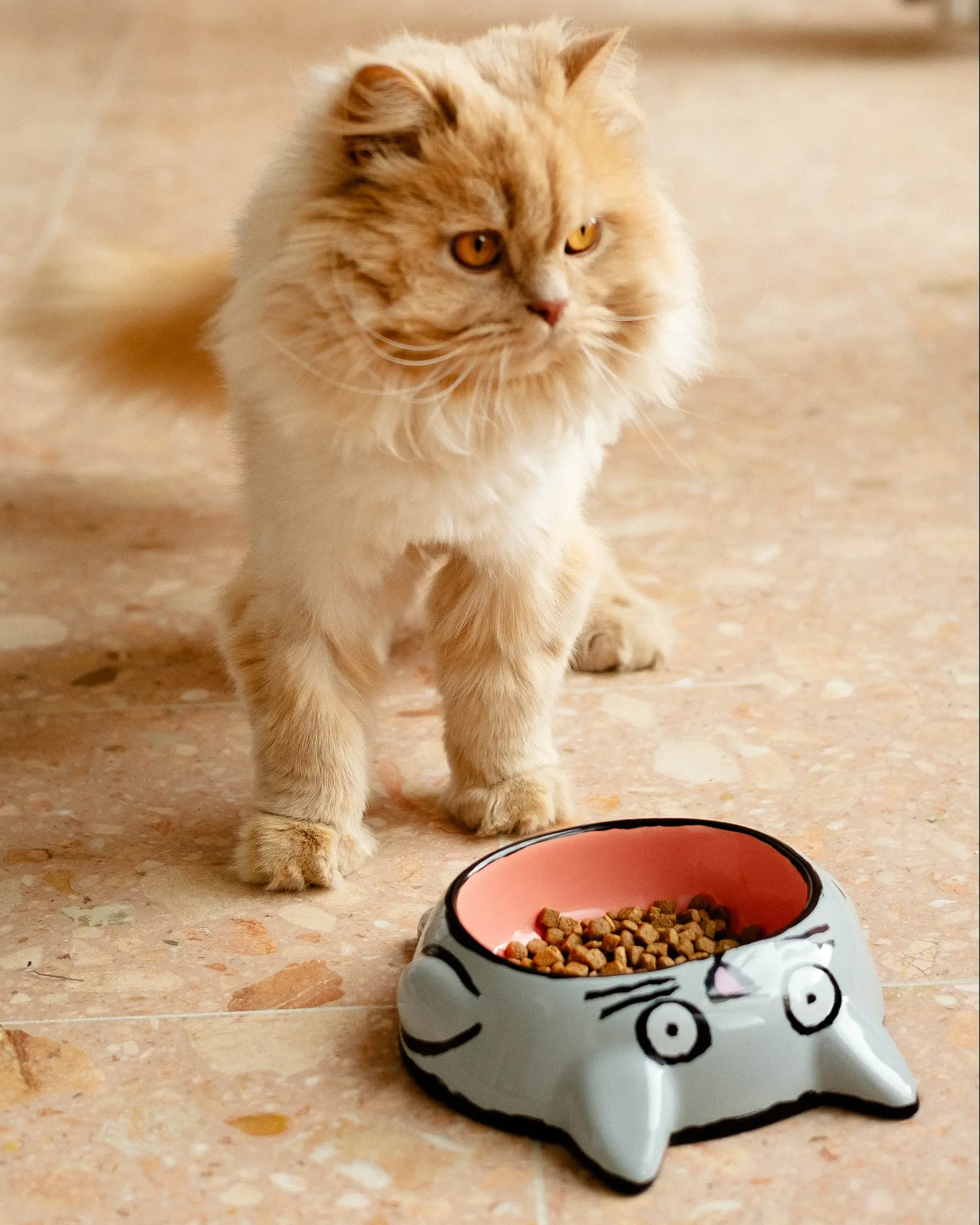 Home Studyo Jean Julien Bowl Cat