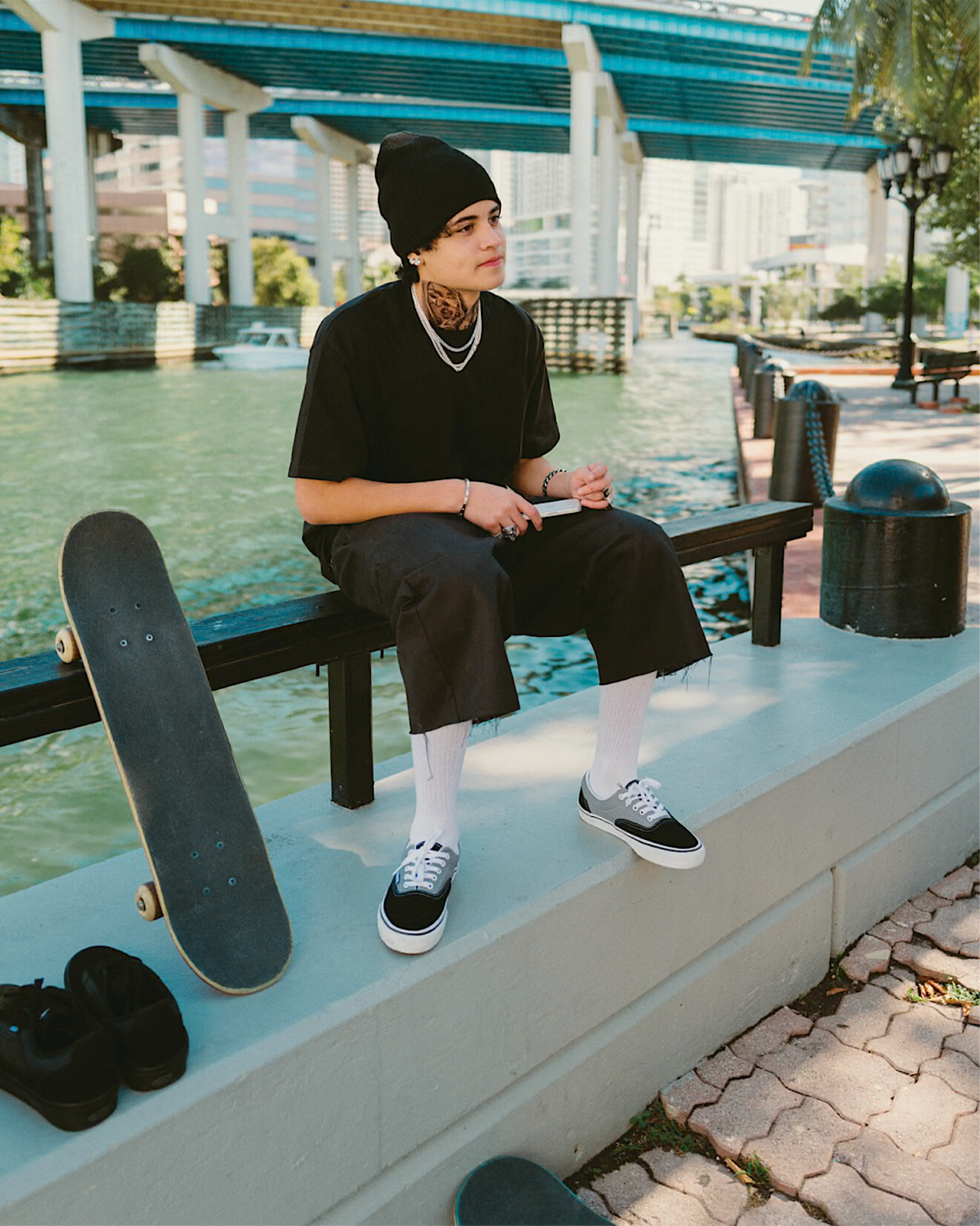 Vans Skate Era Black/Grey