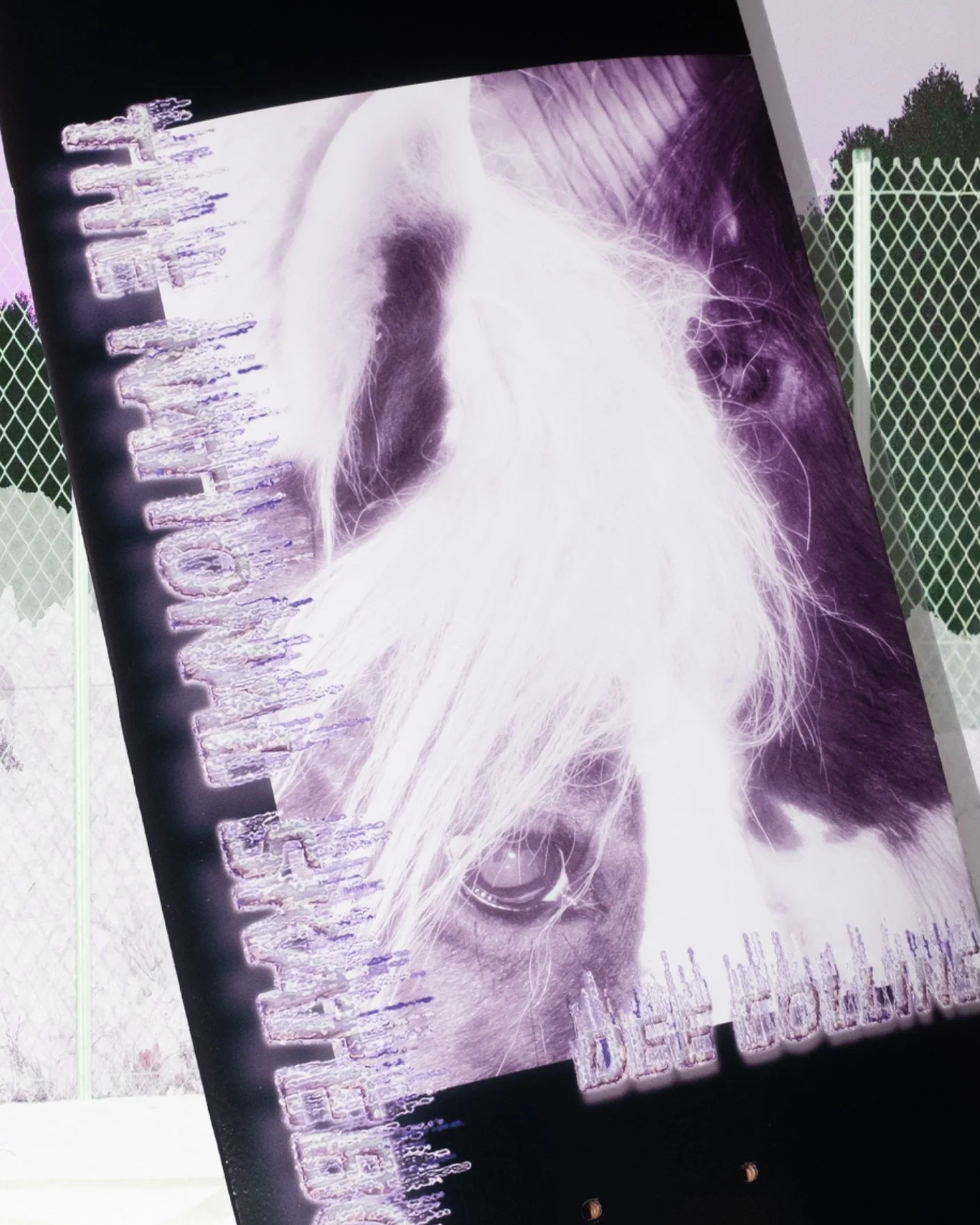 The National Dee Collins Horse Canal High Concave Deck 8.375"