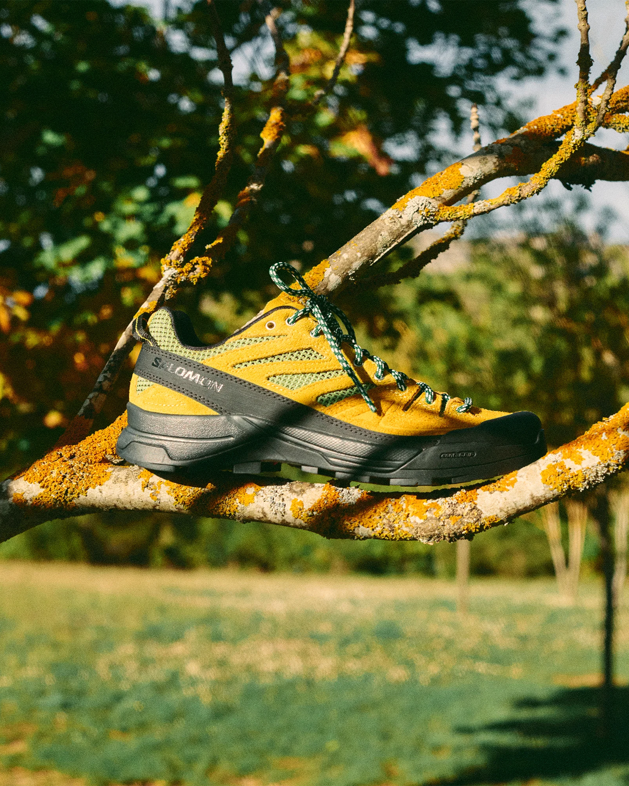 Salomon X Alp Woven Beach Ball / Bright Chartreuse / Formal Garden
