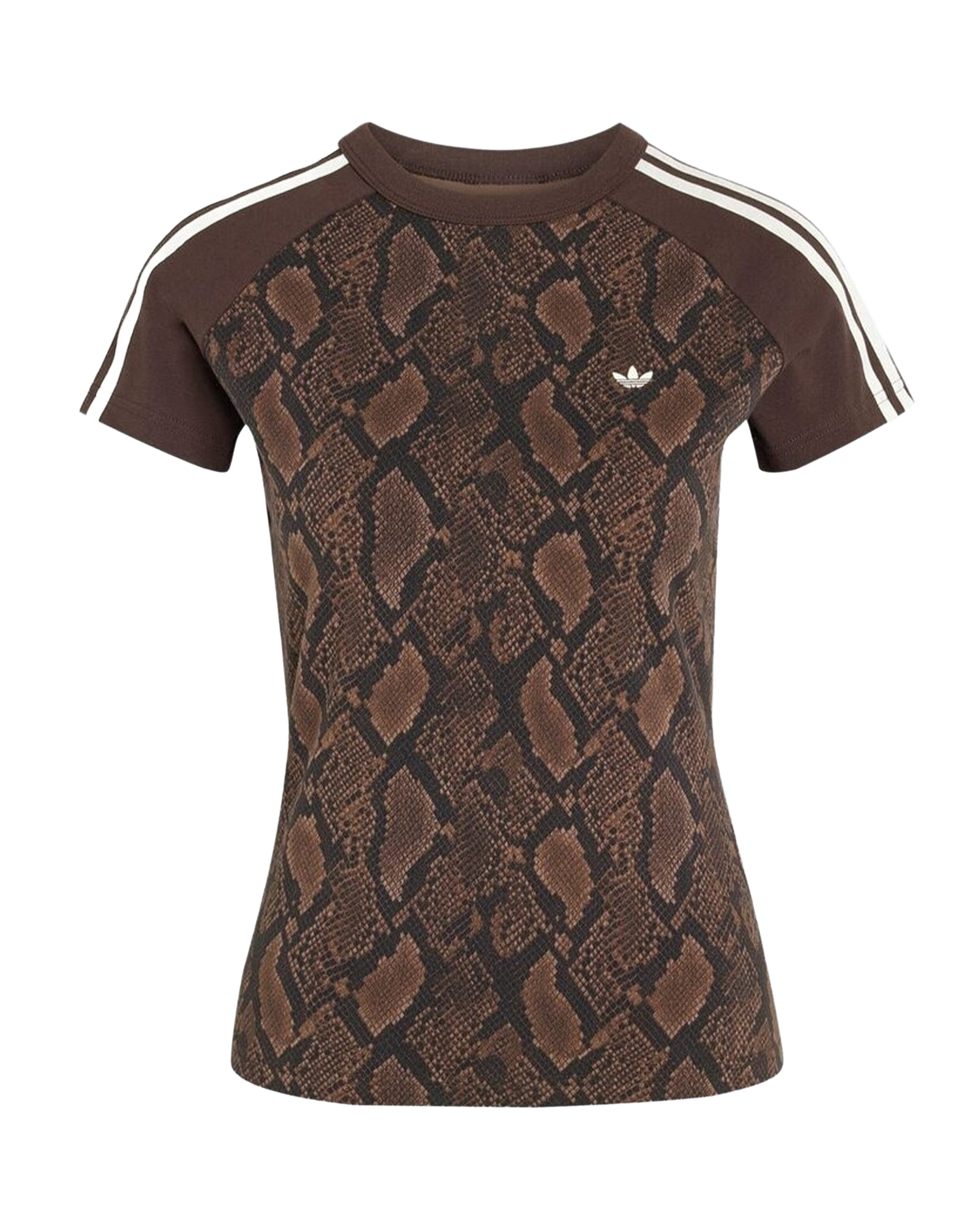 Adidas Snake Print Cali Tee Earth Strata / Aurora Coffee