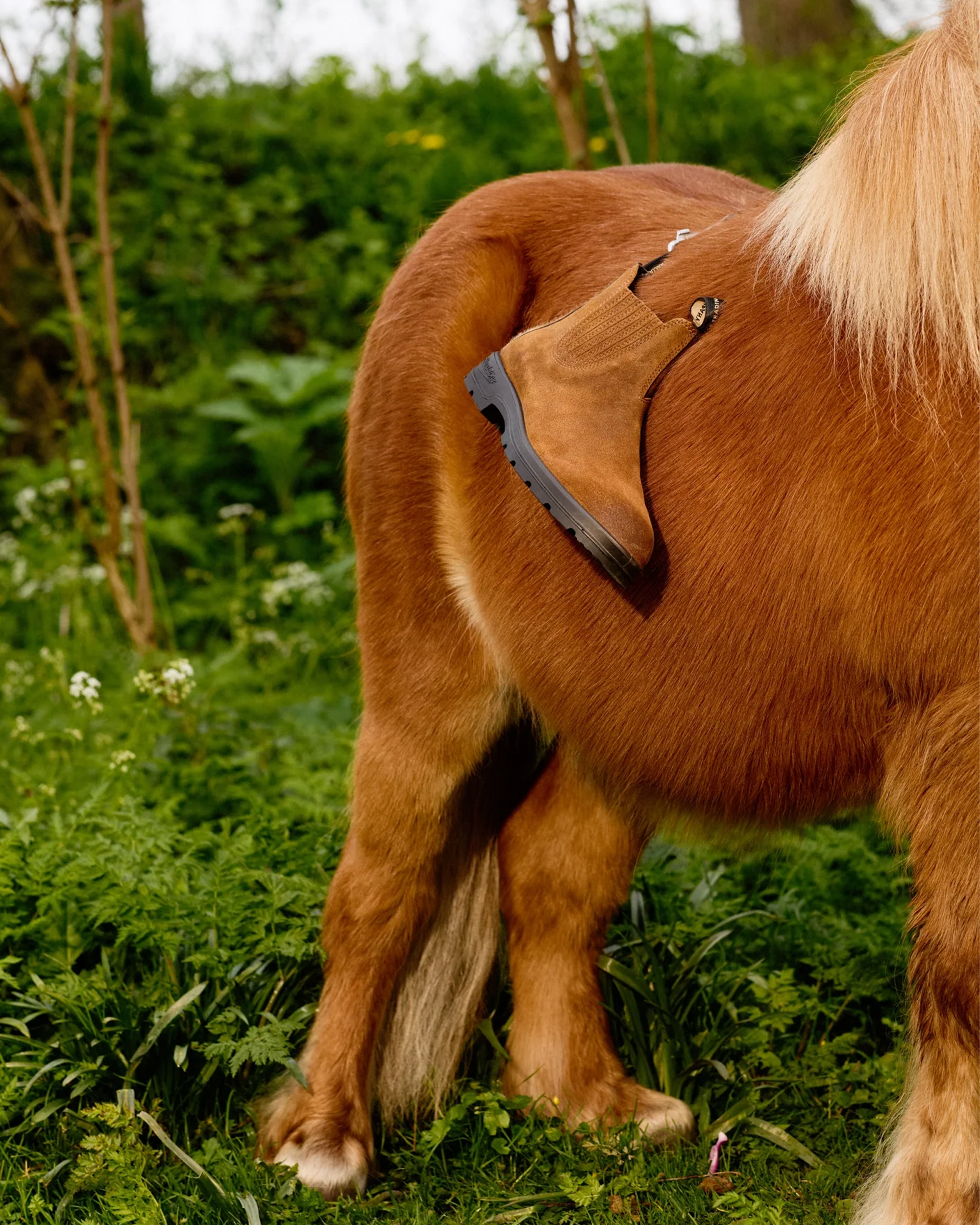 Pop x Blundstone Elastic Sided Boot / Glazed Ginger Pony