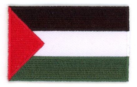 flag patch Palestine