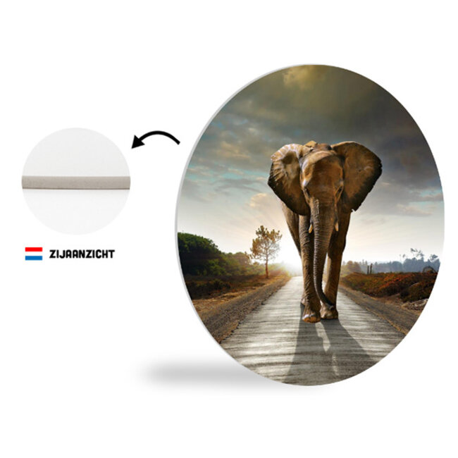 Sweet Living Wandcirkel Walking Elephant