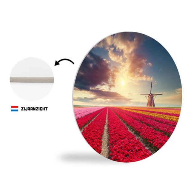 Sweet Living Wandcirkel Hollands Tulpenveld