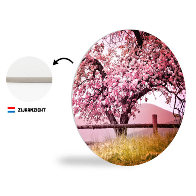 Sweet Living Wandcirkel Bloesem