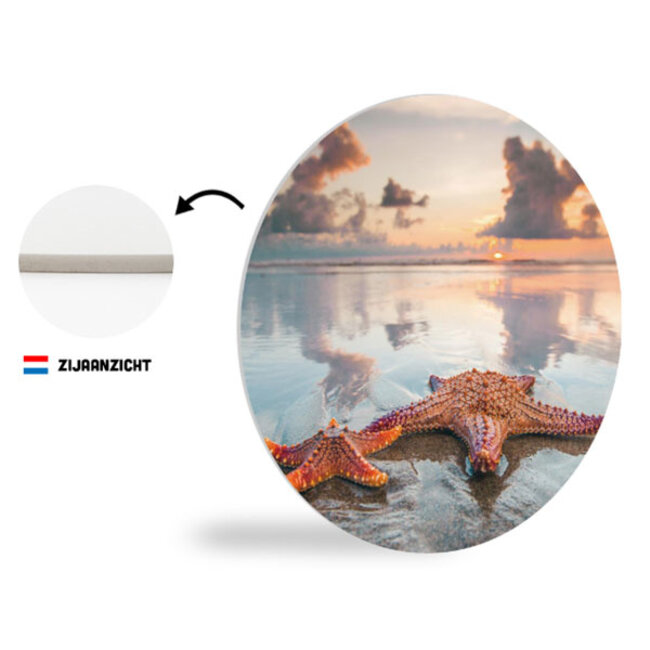 Sweet Living Wandcirkel Zeesterren