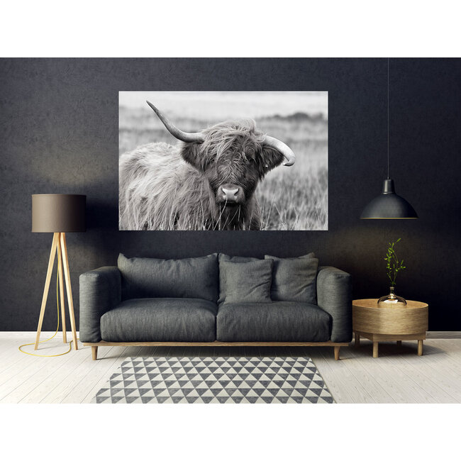 Sweet Living Schilderij Highland Cow