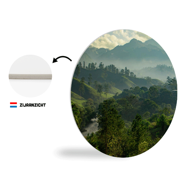 Sweet Living Wandcirkel Sunrise Jungle