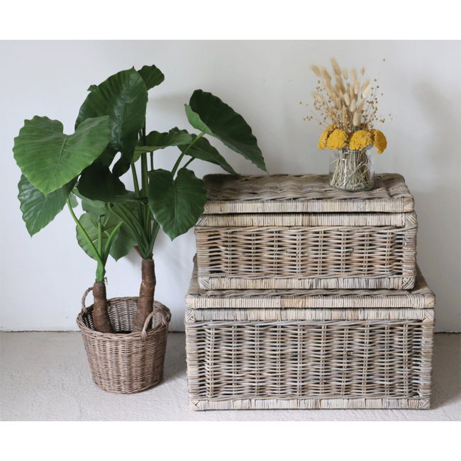 Sweet Living Grote Rotan Mand Met Deksel