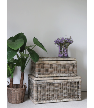 Sweet Living Grote Rotan Mand Met Deksel