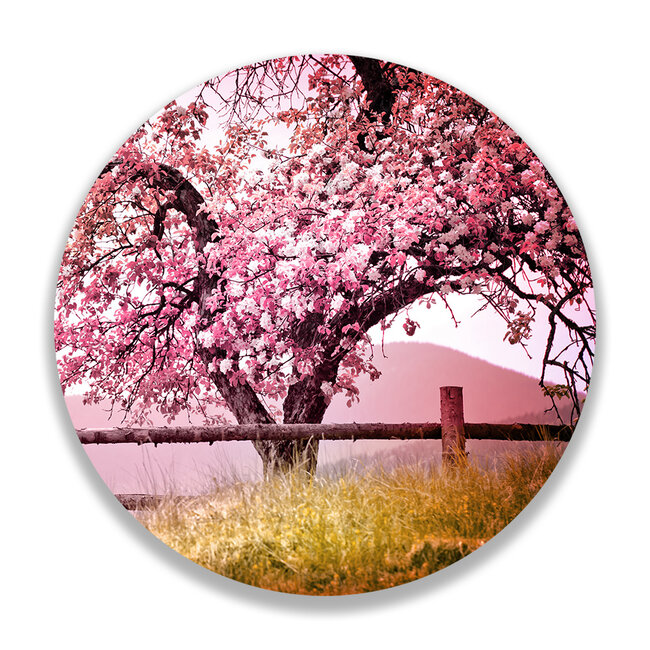 Sweet Living Wandcirkel Bloesem