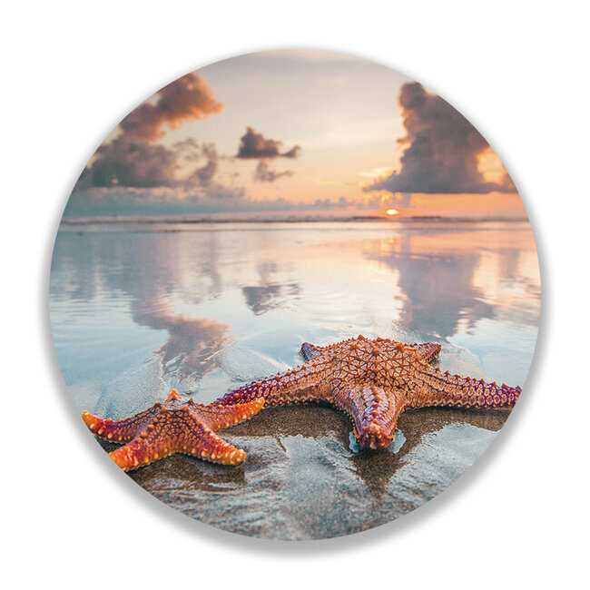 Sweet Living Wandcirkel Zeesterren