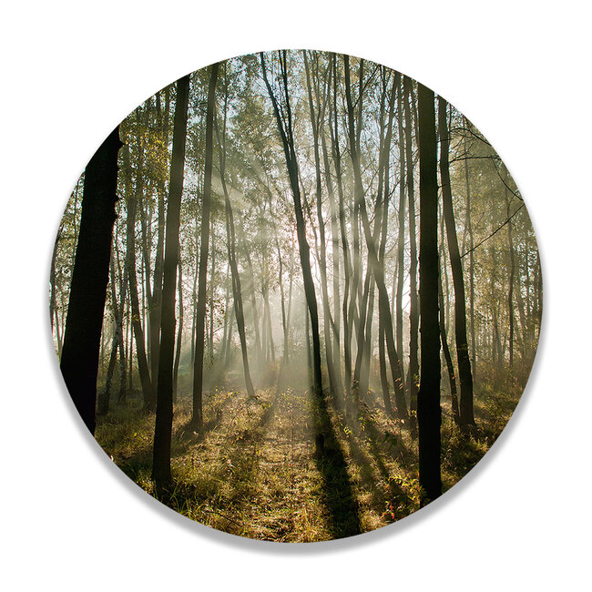 Sweet Living Wandcirkel Sunrise Forest