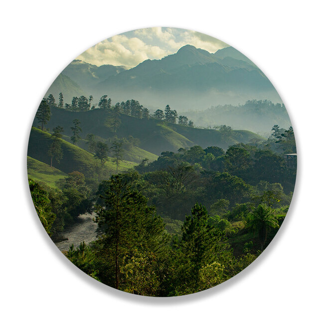 Sweet Living Wandcirkel Sunrise Jungle