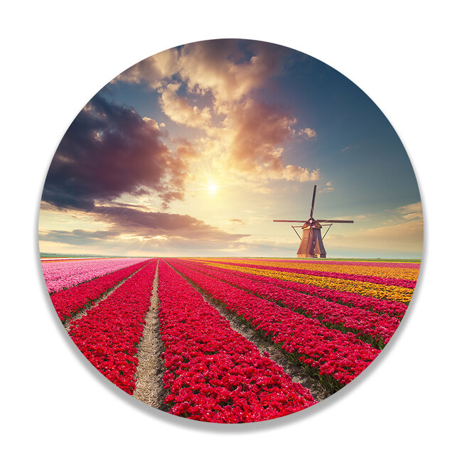 Sweet Living Wandcirkel Hollands Tulpenveld