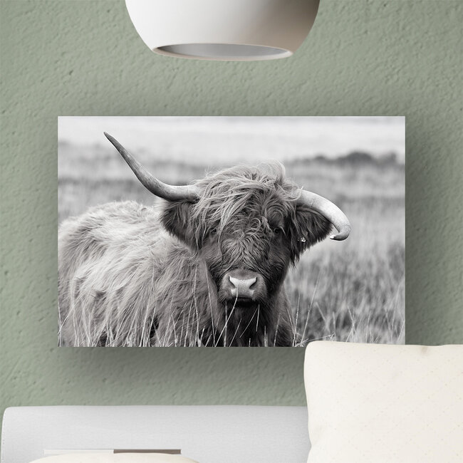 Sweet Living Schilderij Highland Cow