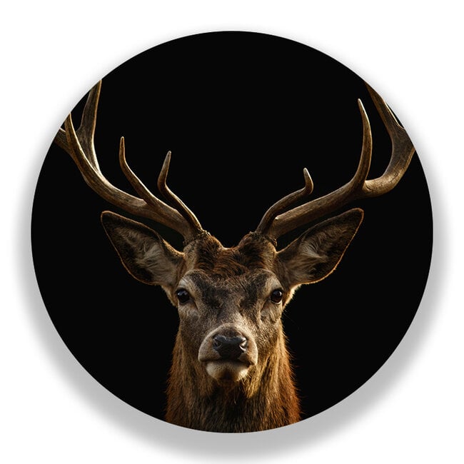Sweet Living Wandcirkel Edelhert met Gewei