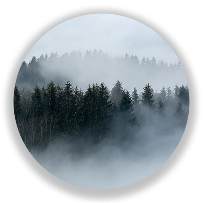 Sweet Living Wandcirkel Mistig Woud