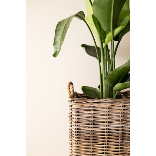 Sweet Living Hoge Rieten Opbergmand - 45x45xH59 cm