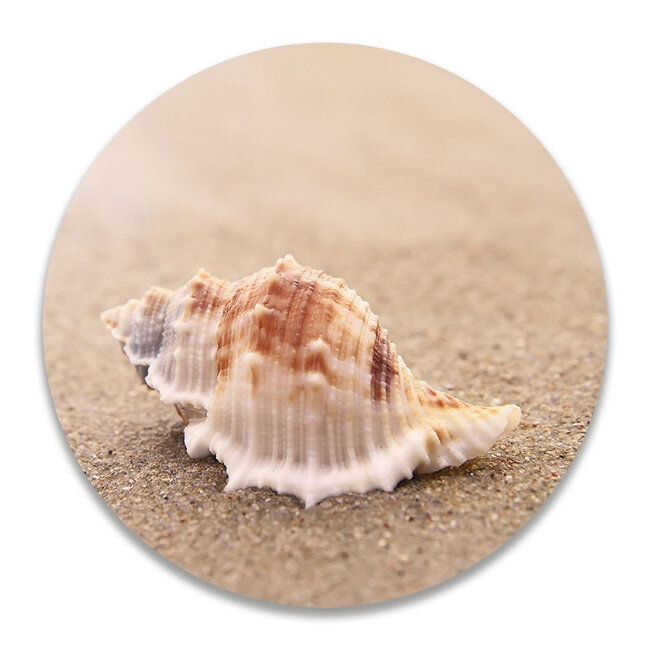 Sweet Living Wandcirkel Schelp op het strand