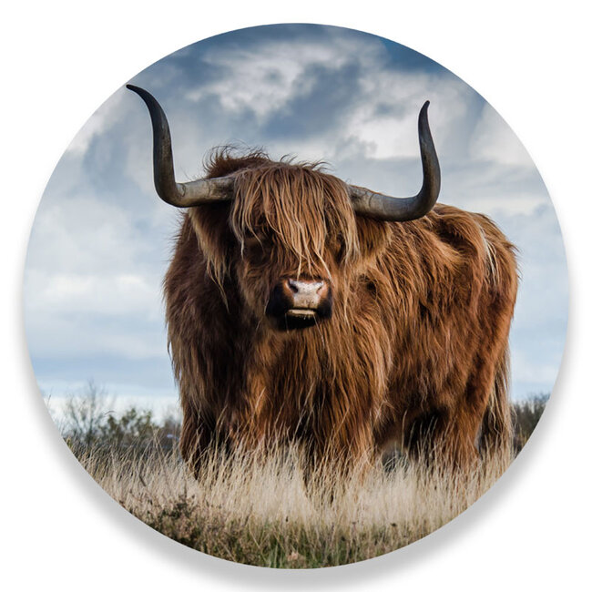 Sweet Living Wandcirkel Hooglander In De Wei