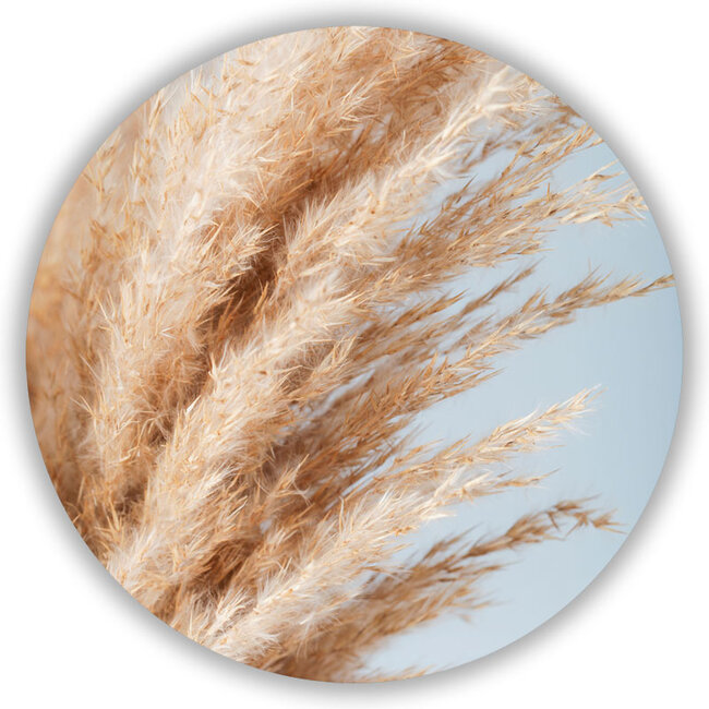 Sweet Living Wandcirkel Soft Pampas