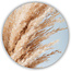 Sweet Living Wandcirkel Soft Pampas
