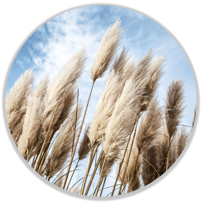 Sweet Living Wandcirkel Pampas in de wind
