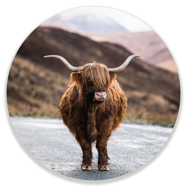 Sweet Living Wandcirkel hooglander op de weg