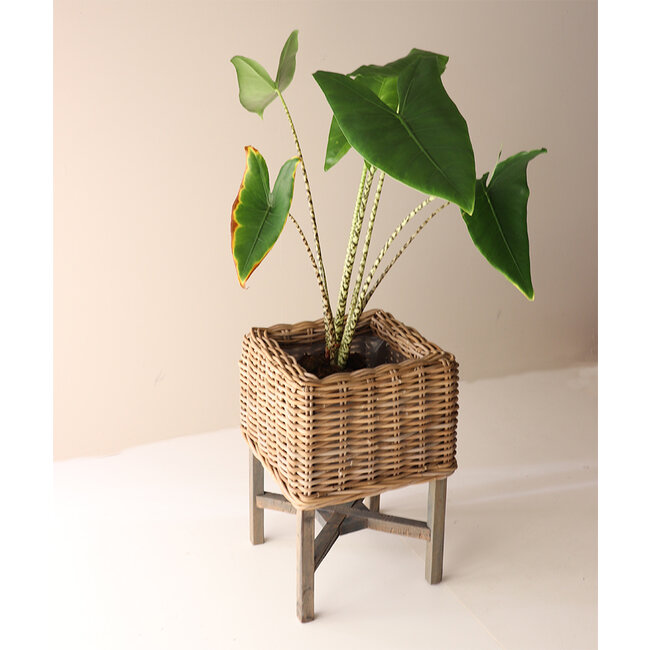 Sweet Living Vierkante Rotan Bloembak - 35x35xH52 cm